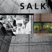 Blik-Business-Salk-LandingThumb