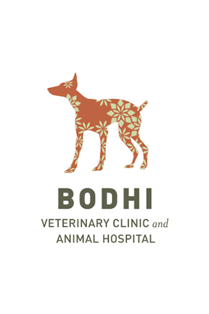 Bodhi Identity Work